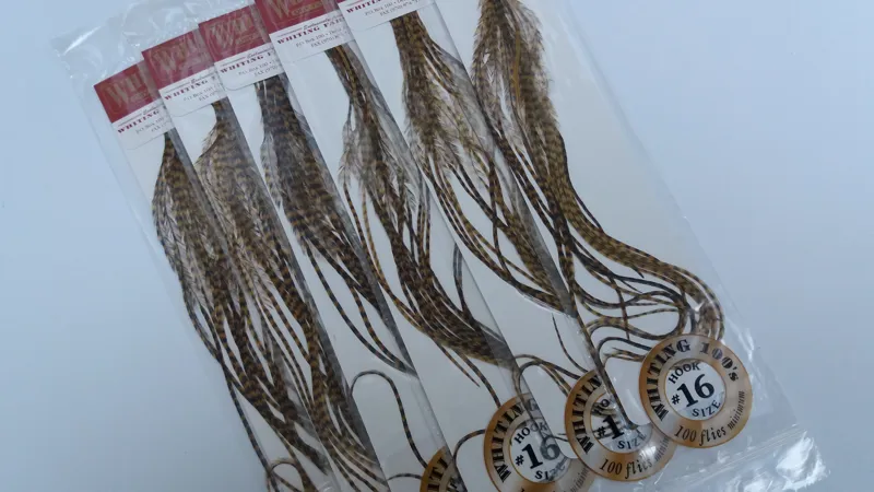 Whiting 100 Saddle Hackle Pack in Grizzly Golden Olive-1